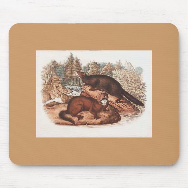 Audubon - Mink Mousepad (Vorne)