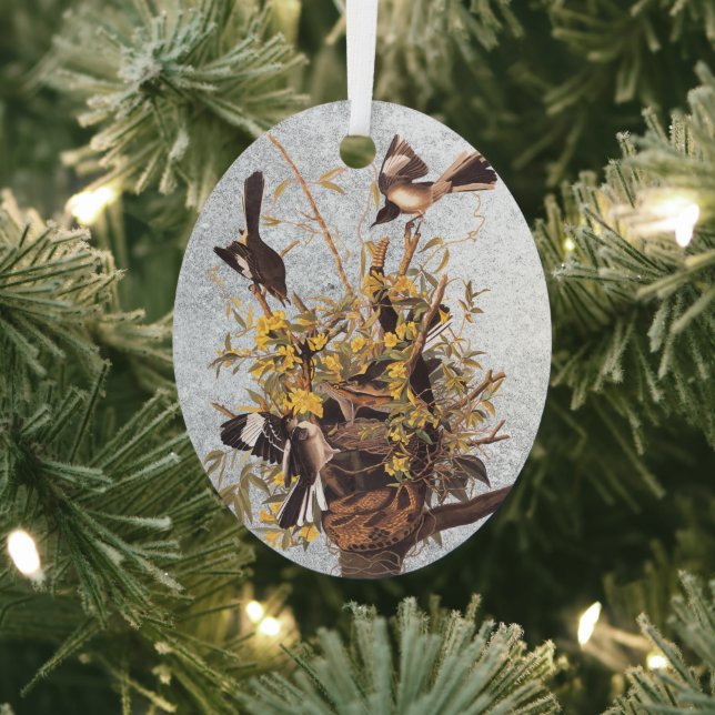 Audubon Mockingbird Family vs Snake Ornament Aus Metall (InSitu)