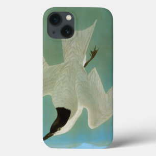 Audubon: Möve-Berechnete Seeschwalbe Case-Mate iPhone Hülle