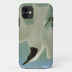Audubon: Möve-Berechnete Seeschwalbe Case-Mate iPhone Hülle