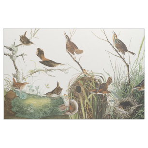 Audubon nistet Zaunkönig-Vogel-Tier-Tier-Gewebe Stoff
