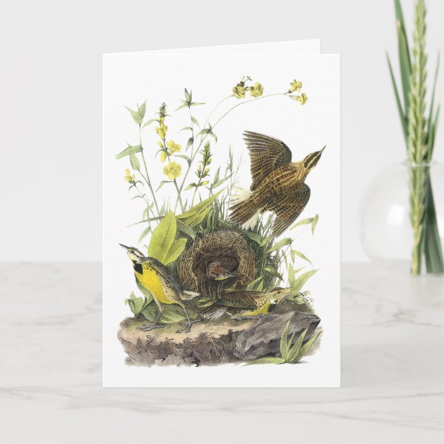 Audubon OstMeadowlard Feiertagskarte (Vorderseite)