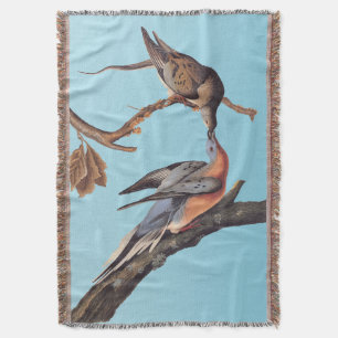 Audubon-Paar Kissing-Passagiertauben Decke