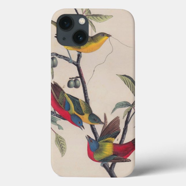 Audubon Painted Bunting Bird Wildlife Case-Mate iPhone Hülle (Rückseite)