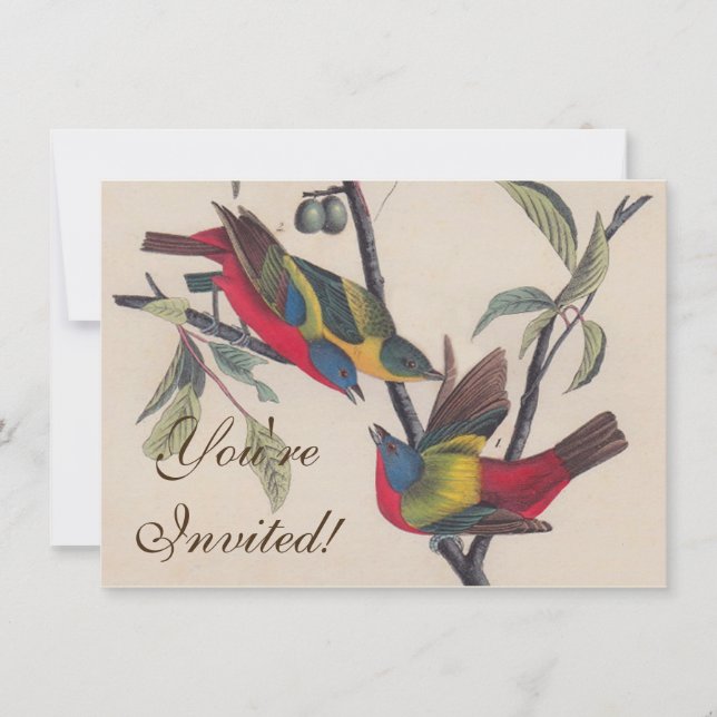 Audubon Painted Bunting Bird Wildlife Einladung (Vorderseite)