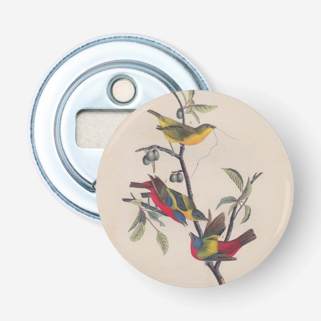 Audubon Painted Bunting Bird Wildlife Flaschenöffner (Vorderseite)