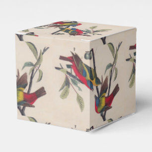 Audubon Painted Bunting Bird Wildlife Geschenkschachtel