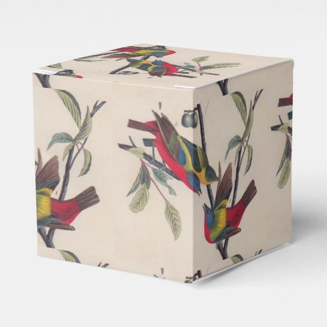 Audubon Painted Bunting Bird Wildlife Geschenkschachtel (Vorderseite)