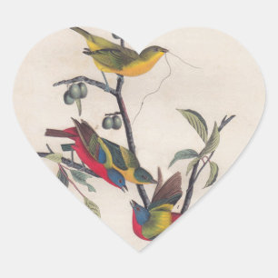Audubon Painted Bunting Bird Wildlife Herz-Aufkleber