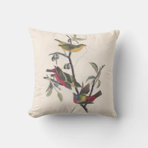 Audubon Painted Bunting Bird Wildlife Kissen