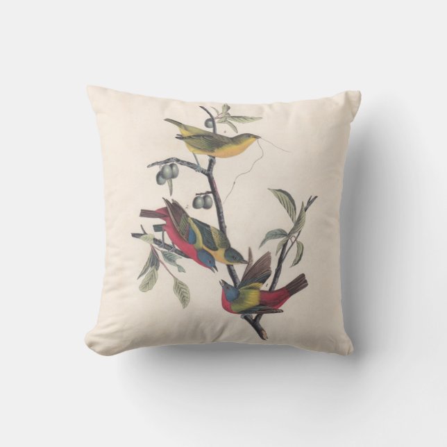 Audubon Painted Bunting Bird Wildlife Kissen (Vorderseite)
