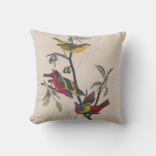 Audubon Painted Bunting Bird Wildlife Kissen
