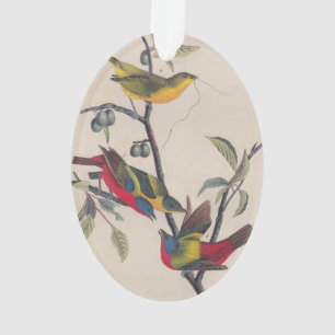 Audubon Painted Bunting Bird Wildlife Ornament