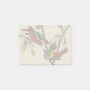 Audubon Painted Bunting Bird Wildlife Post-it Klebezettel