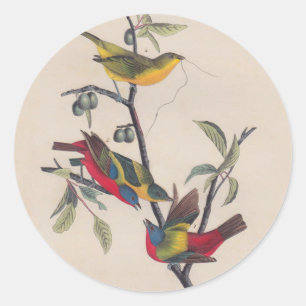 Audubon Painted Bunting Bird Wildlife Runder Aufkleber