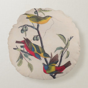Audubon Painted Bunting Bird Wildlife Rundes Kissen
