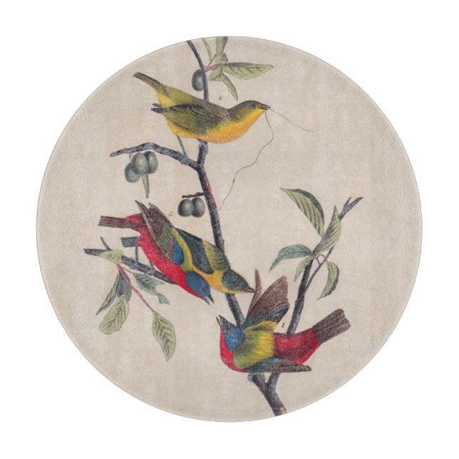 Audubon Painted Bunting Bird Wildlife Schneidebrett (Vorderseite)