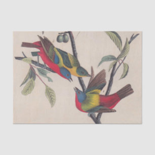 Audubon Painted Bunting Bird Wildlife Seidenpapier