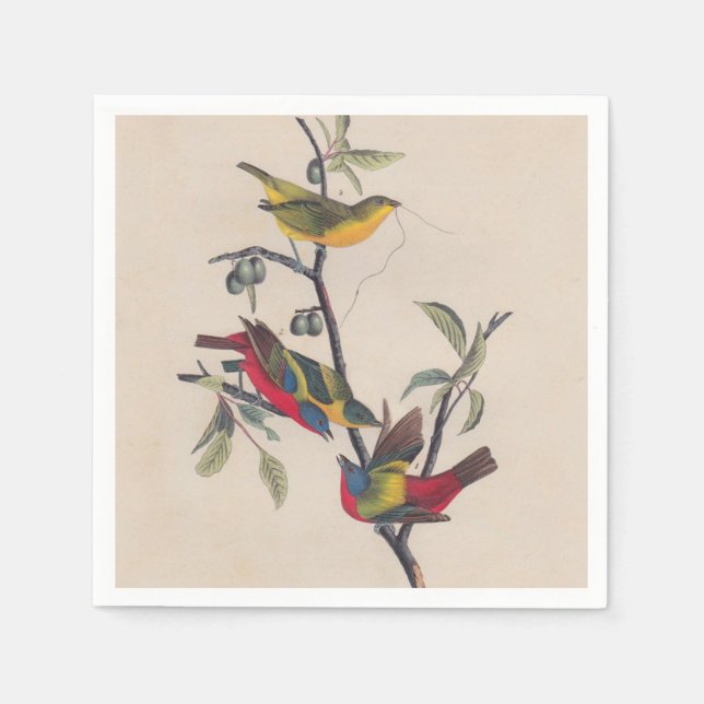 Audubon Painted Bunting Bird Wildlife Serviette (Vorderseite)