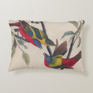 Audubon Painted Bunting Bird Wildlife Zierkissen
