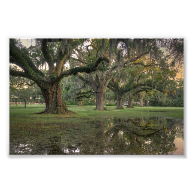 Audubon Park Rain Fotodruck (Vorne)