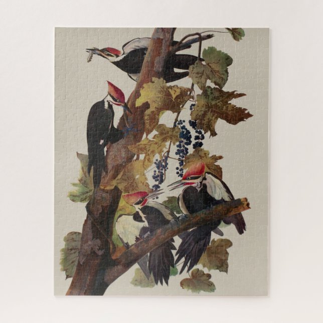 Audubon Pileated Woodpecker Bird Malerei (Vertikal)