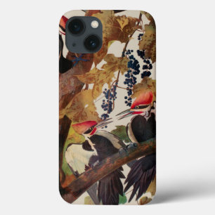 Audubon Pileated Woodpecker Bird Malerei Case-Mate iPhone Hülle