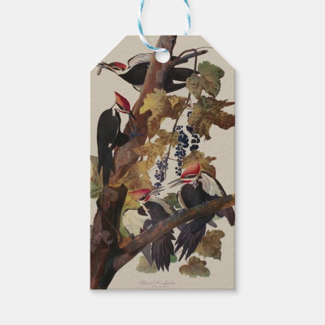 Audubon Pileated Woodpecker Bird Malerei Geschenkanhänger (Vorderseite)