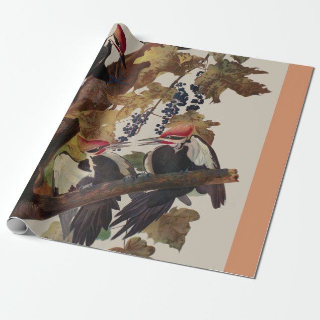 Audubon Pileated Woodpecker Bird Malerei Geschenkpapier (Ungerollt)