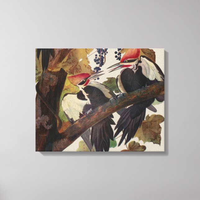 Audubon Pileated Woodpecker Bird Malerei Leinwanddruck (Vorderseite)