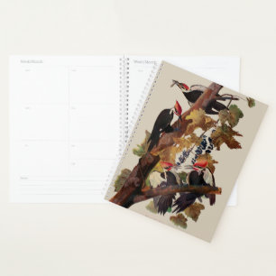 Audubon Pileated Woodpecker Bird Malerei Planer
