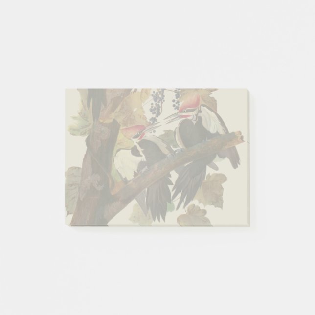 Audubon Pileated Woodpecker Bird Malerei Post-it Klebezettel (Vorderseite)