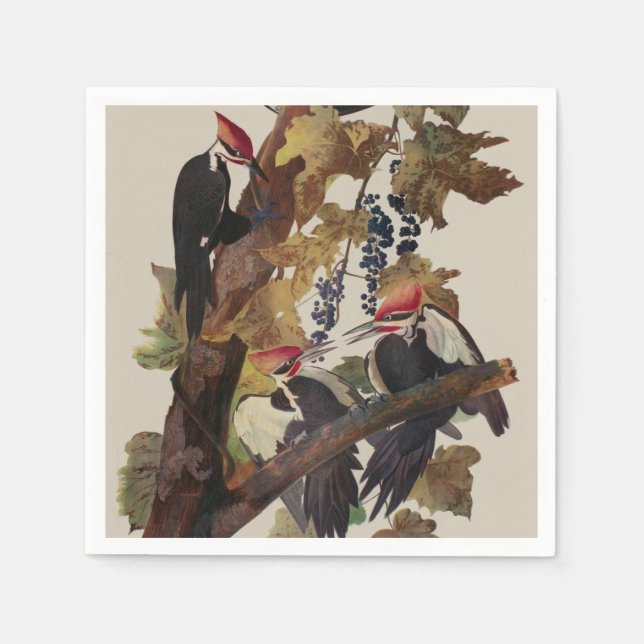 Audubon Pileated Woodpecker Bird Malerei Serviette (Vorderseite)