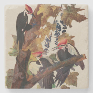 Audubon Pileated Woodpecker Bird Malerei Steinuntersetzer