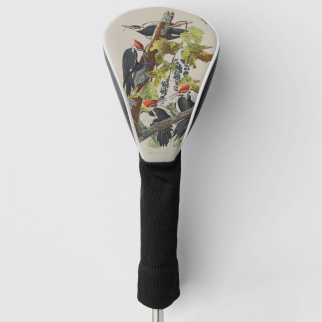 Audubon Pileated Woodpecker Bird Painting Golf Headcover (Vorderseite)