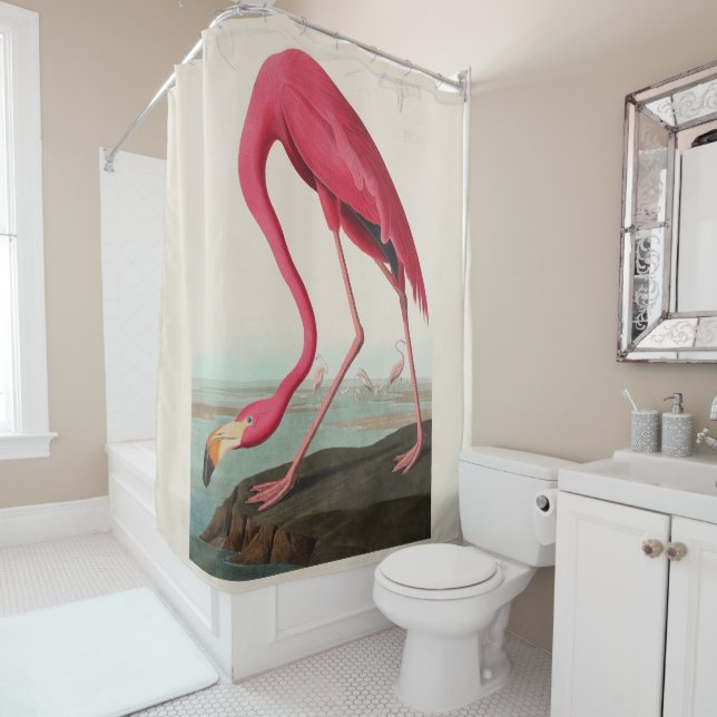 Audubon Pink American Flamingo, Plate CCXXXI Duschvorhang (Beispiel)
