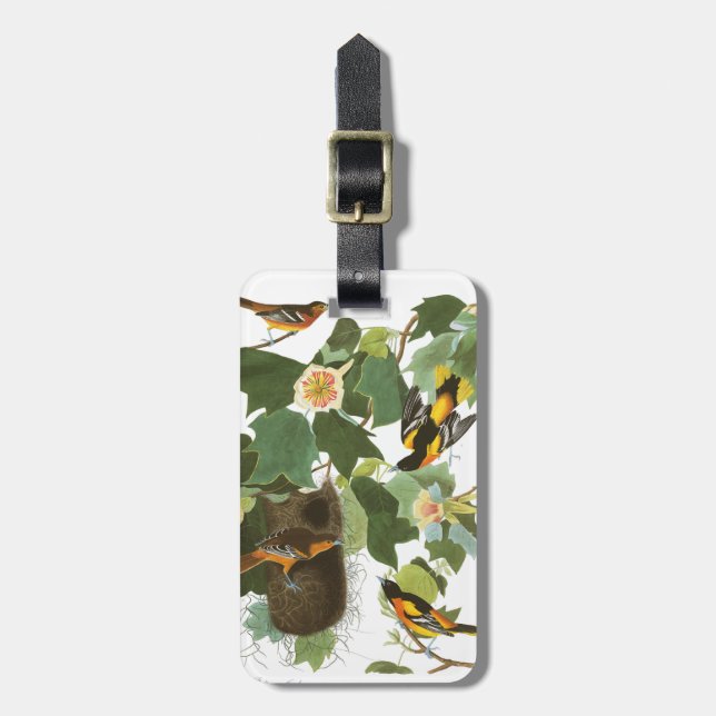 Audubon Platte 12 Baltimore Oriole Gepäckanhänger (Vorderseite vertikal)