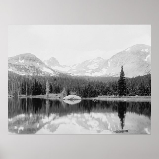 Audubon Poster (Vorne)