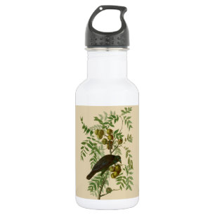 Audubon Purple Grackle Vogel Druck Vintage Botanik Edelstahlflasche