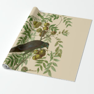 Audubon Purple Grackle Vogel Druck Vintage Botanik Geschenkpapier