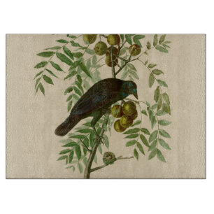Audubon Purple Grackle Vogel Druck Vintage Botanik Schneidebrett