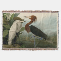 Audubon Purpurreiher Rötlicher Sichler Druck: Voge