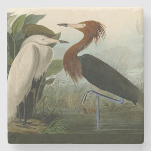 Audubon Purpurreiher Rötlicher Sichler Druck: Voge Steinuntersetzer