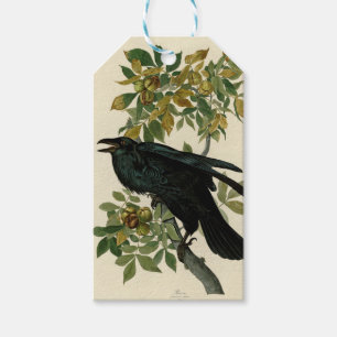 Audubon Raven Bird Classic Artwork Geschenkanhänger