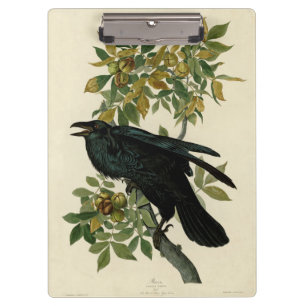 Audubon Raven Bird Classic Artwork Klemmbrett
