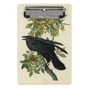 Audubon Raven Bird Classic Artwork Mini Klemmbrett