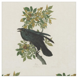 Audubon Raven Bird Classic Artwork Stoff