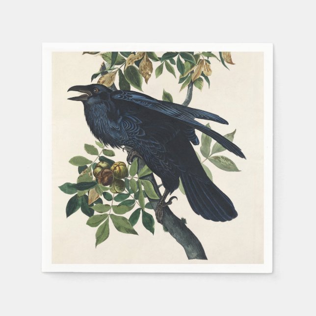 Audubon Raven Bird Klassische Malerei Serviette (Vorderseite)