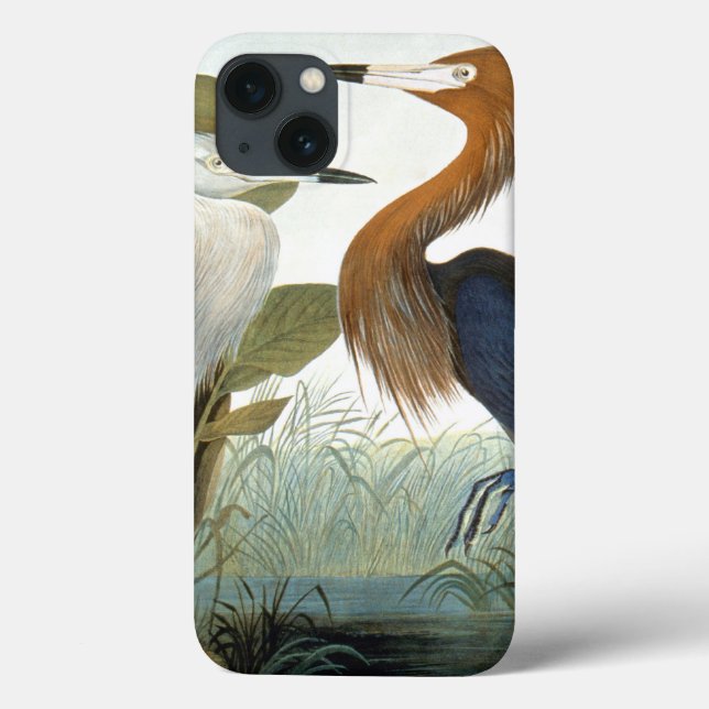 Audubon: Reddish Egret oder Lila Heron Case-Mate iPhone Hülle (Rückseite)
