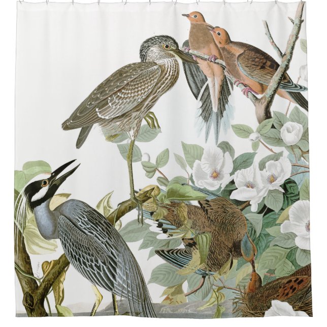 Audubon Reiher-u. Tauben-Vogel-Tierduschvorhang Duschvorhang (Vorderseite)